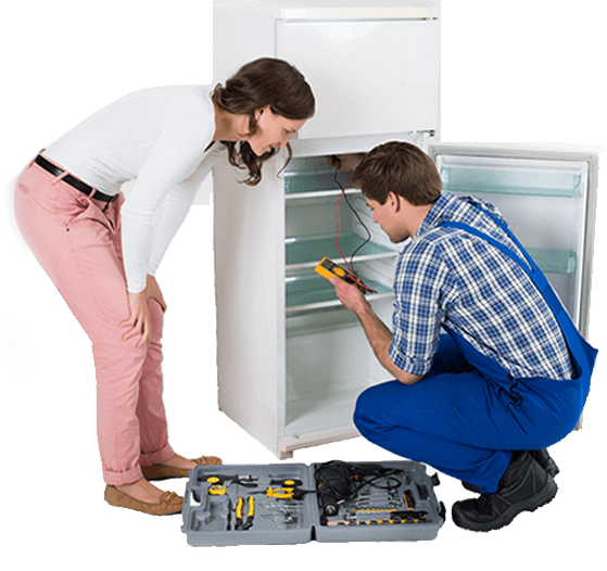 Adana Windsor Buzdolabı Tamircisi